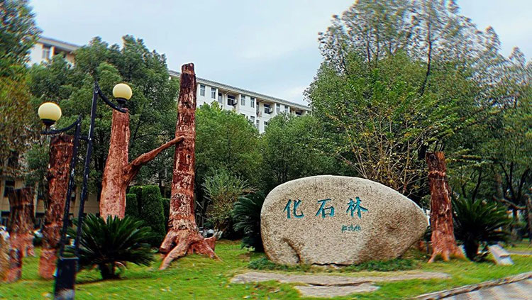 中國地質(zhì)大學(xué)(武漢)-地大熱能 中國地質(zhì)大學(xué)(武漢)-地大熱能