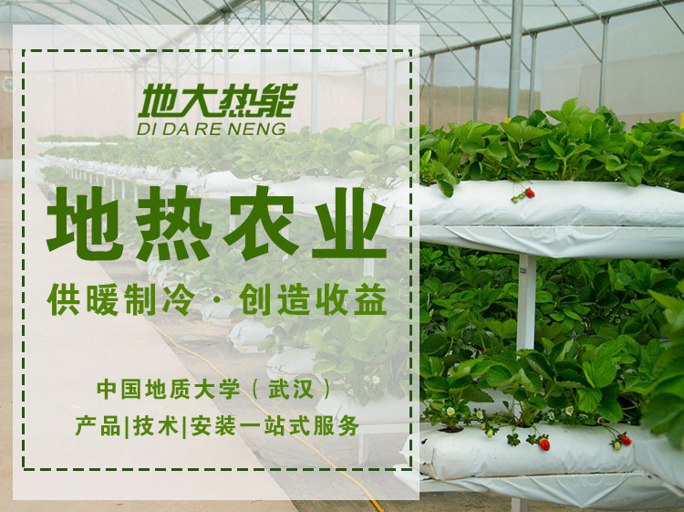 地熱農業(yè)-地源熱泵供暖制冷-地大熱能 地熱農業(yè)-地源熱泵供暖制冷-地大熱能