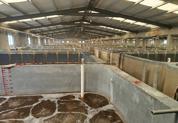 投資4.5億元 沾化整建制推進城區(qū)地熱能供暖-地熱資源開發(fā)-地大熱能 投資4.5億元 沾化整建制推進城區(qū)地熱能供暖-地熱資源開發(fā)-地大熱能