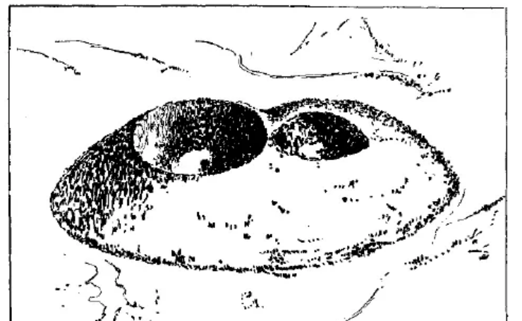 盤點各類地質地貌類型-地熱資源開發(fā)-地大熱能