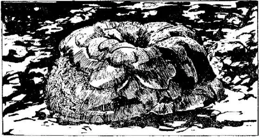 盤點各類地質地貌類型-地熱資源開發(fā)-地大熱能